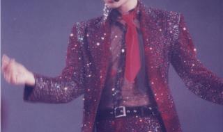 怀念张国荣演唱会2013