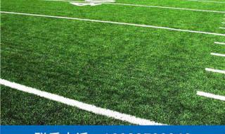 塑料草坪生产厂家 塑料草坪生产厂家